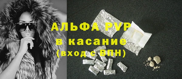 СК Аркадак